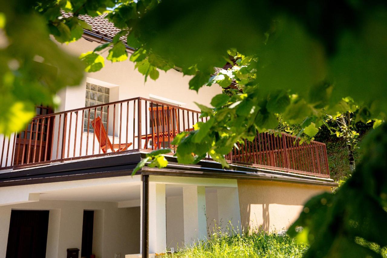 Elegant House In A Beautiful Village Cerklje ob Krki Exterior foto