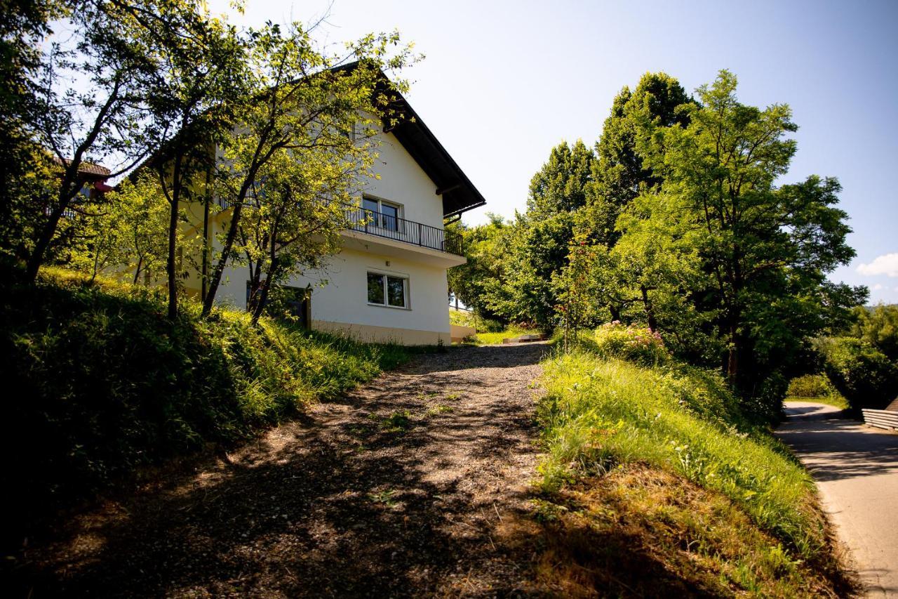 Elegant House In A Beautiful Village Cerklje ob Krki Exterior foto